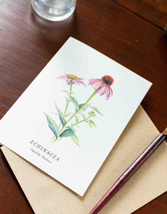 Note card with echinacea illustration on a wooden desk