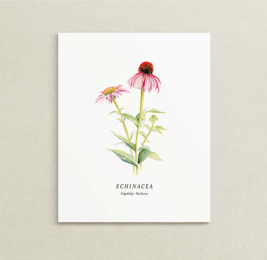 A botanical art print of echinacea flowers, featuring pink coneflowers with green stems and leaves on a white background, with the text 'ECHINACEA' and 'Capability - Resilience' printed below.