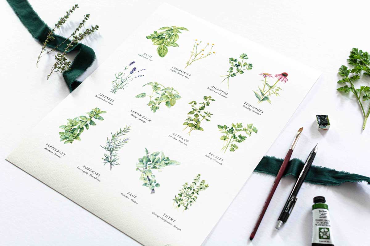 print of herb illustrations with greenery, brushes, and paint tube on a white background