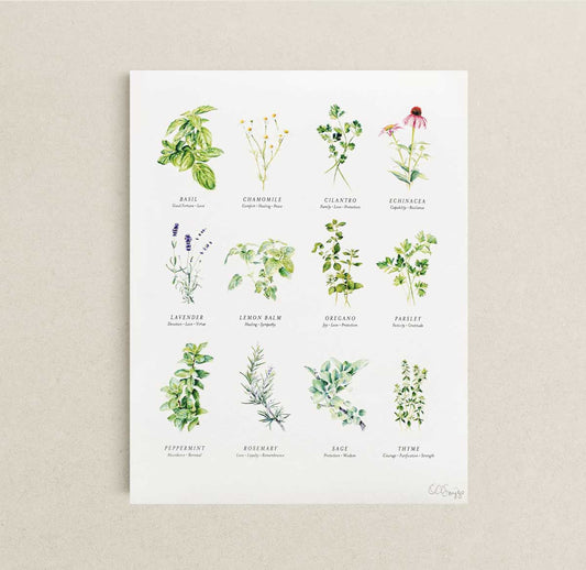 Herb illustration print on a beige wall