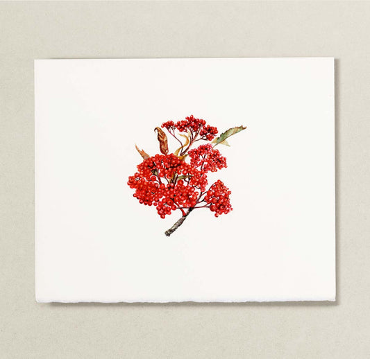 A watercolor painting featuring a botanical illustration of a branch with clusters of bright red berries and a few green and brown leaves, displayed against a light warm gray background.