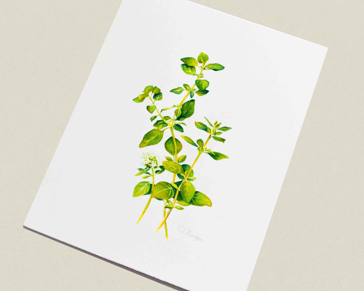 A watercolor painting of green oregano leaves on a white paper, photographed at an angle on a neutral beige background.
