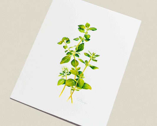 A watercolor painting of green oregano leaves on a white paper, photographed at an angle on a neutral beige background.