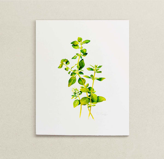 A botanical watercolor of green oregano herb leaves and stems on white paper, displayed against a neutral light beige textured background.
