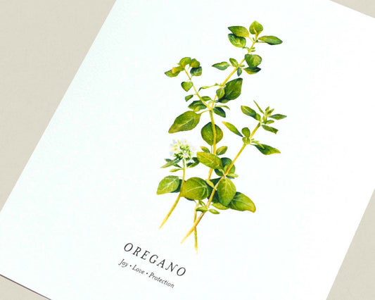 Print of a botanical painting of Oregano herb sprigs on a white background with text below reading "OREGANO" and "Joy | Love | Protection" photographed at an angle.