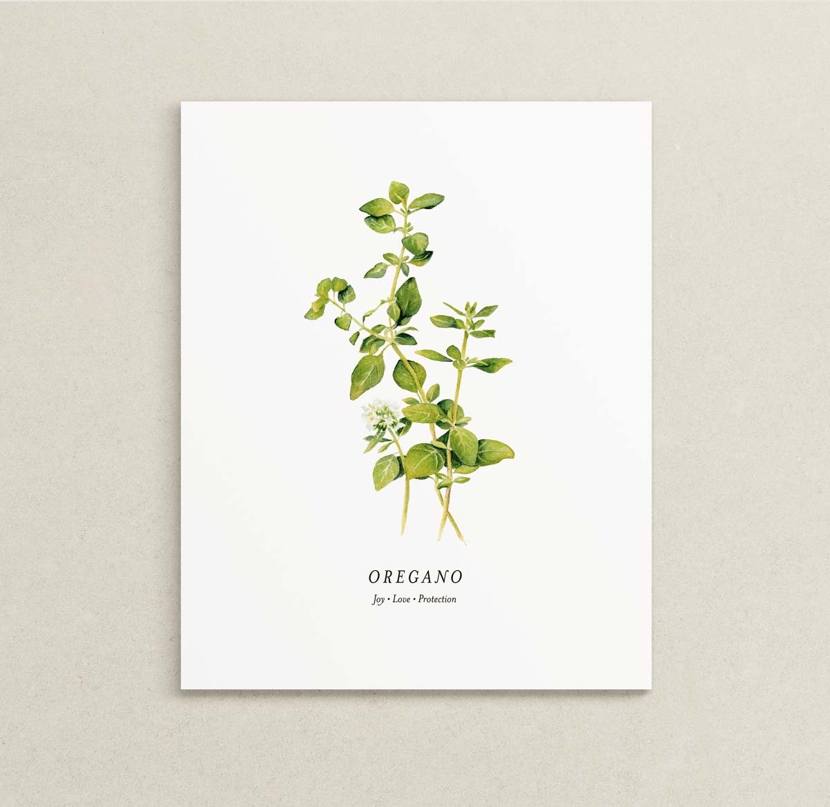 Print of a botanical painting of Oregano herb sprigs on a white background with text below reading "OREGANO" and "Joy | Love | Protection."