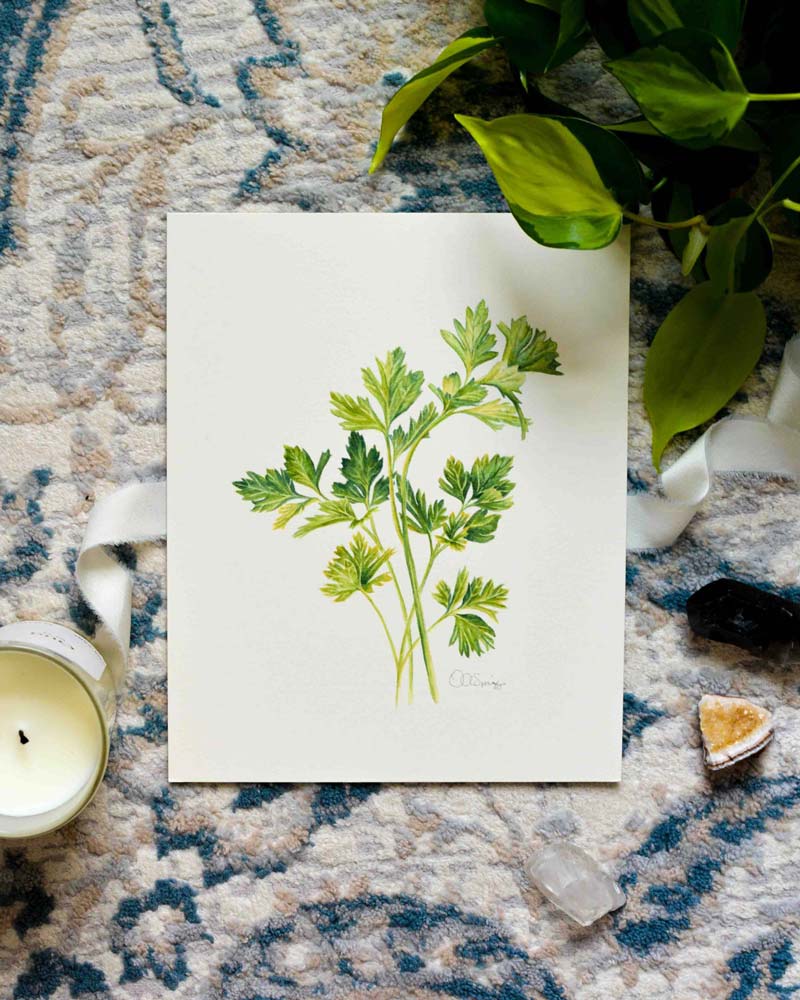 A botanical watercolor painting of green parsley on textured off-white paper, styled in a flat lay on a blue and beige patterned rug with a candle, plant leaves, and crystals.