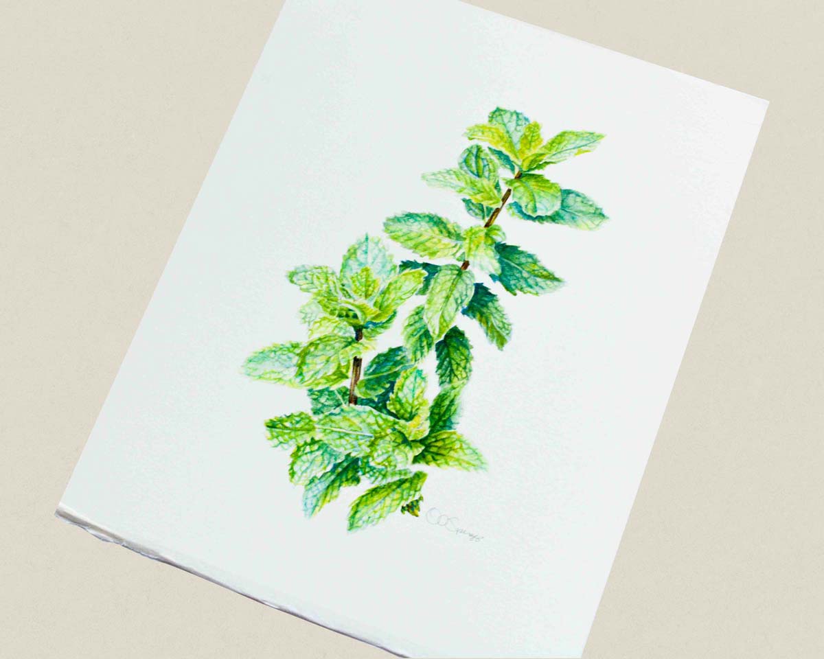 An original watercolor painting featuring a green Peppermint leaf stem, displayed on a neutral beige background.