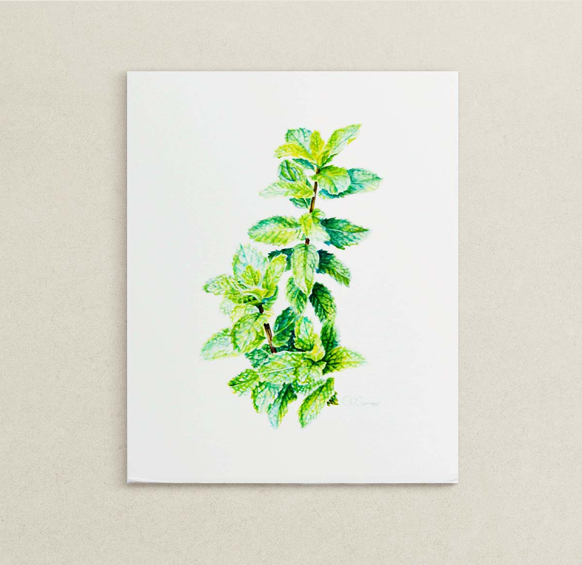 An original watercolor painting of a green Peppermint stem with detailed leaves, centered on a white paper mounted on a textured beige wall.