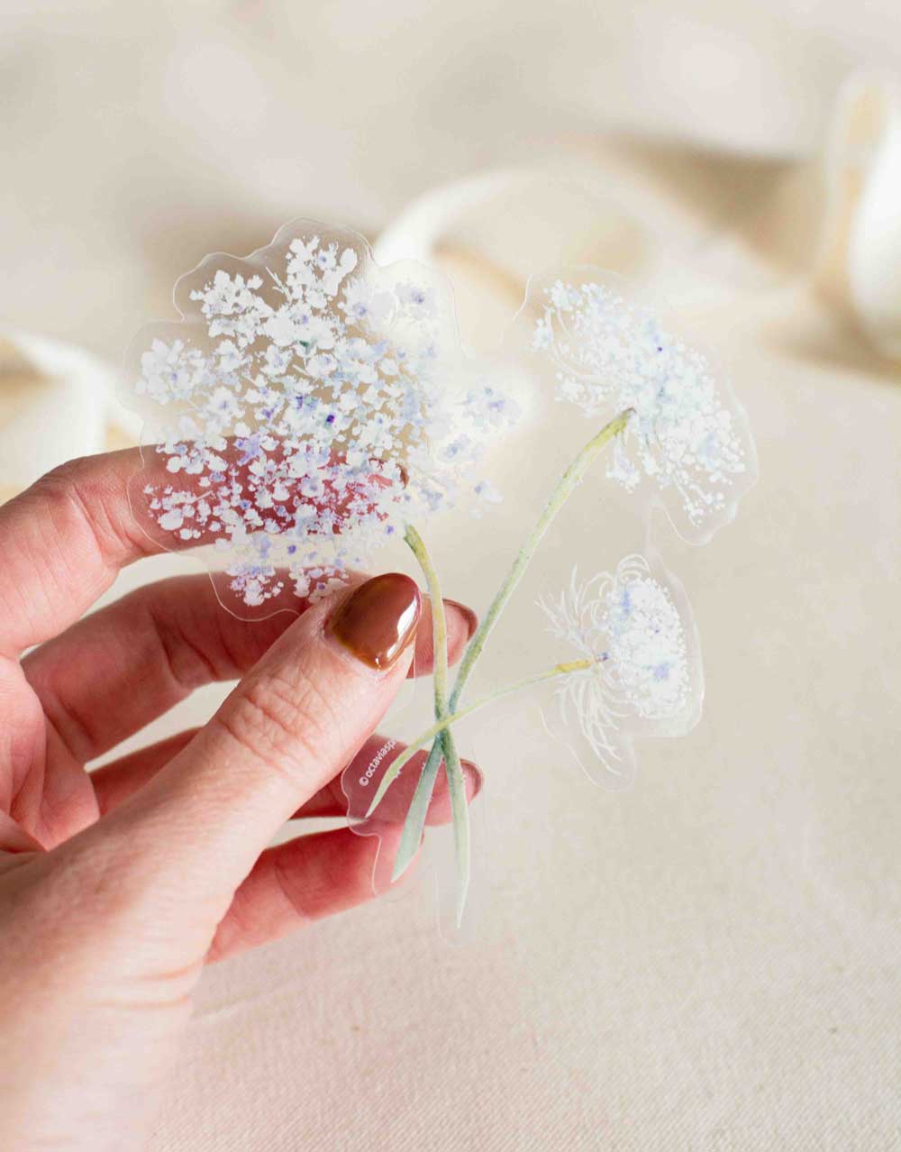 Hand holding Queen Anne's Lace sticker up against a beige background showing its transparency. 