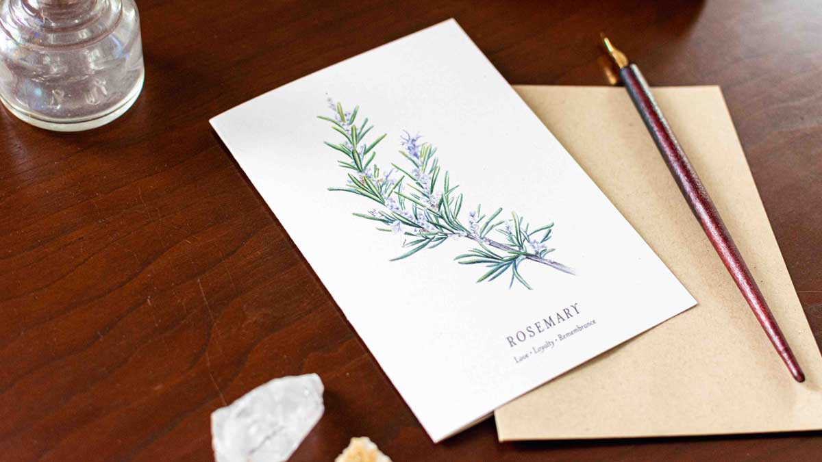 Note cards with rosemary illustration on a wooden desk.