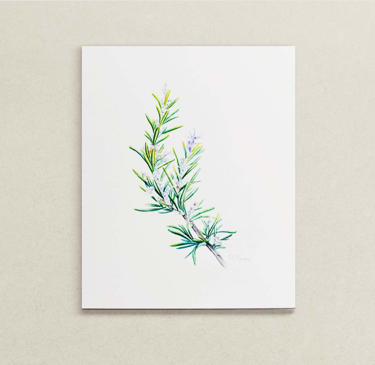 A watercolor painting of a green rosemary sprig with small purple flowers, displayed against a neutral beige textured wall.