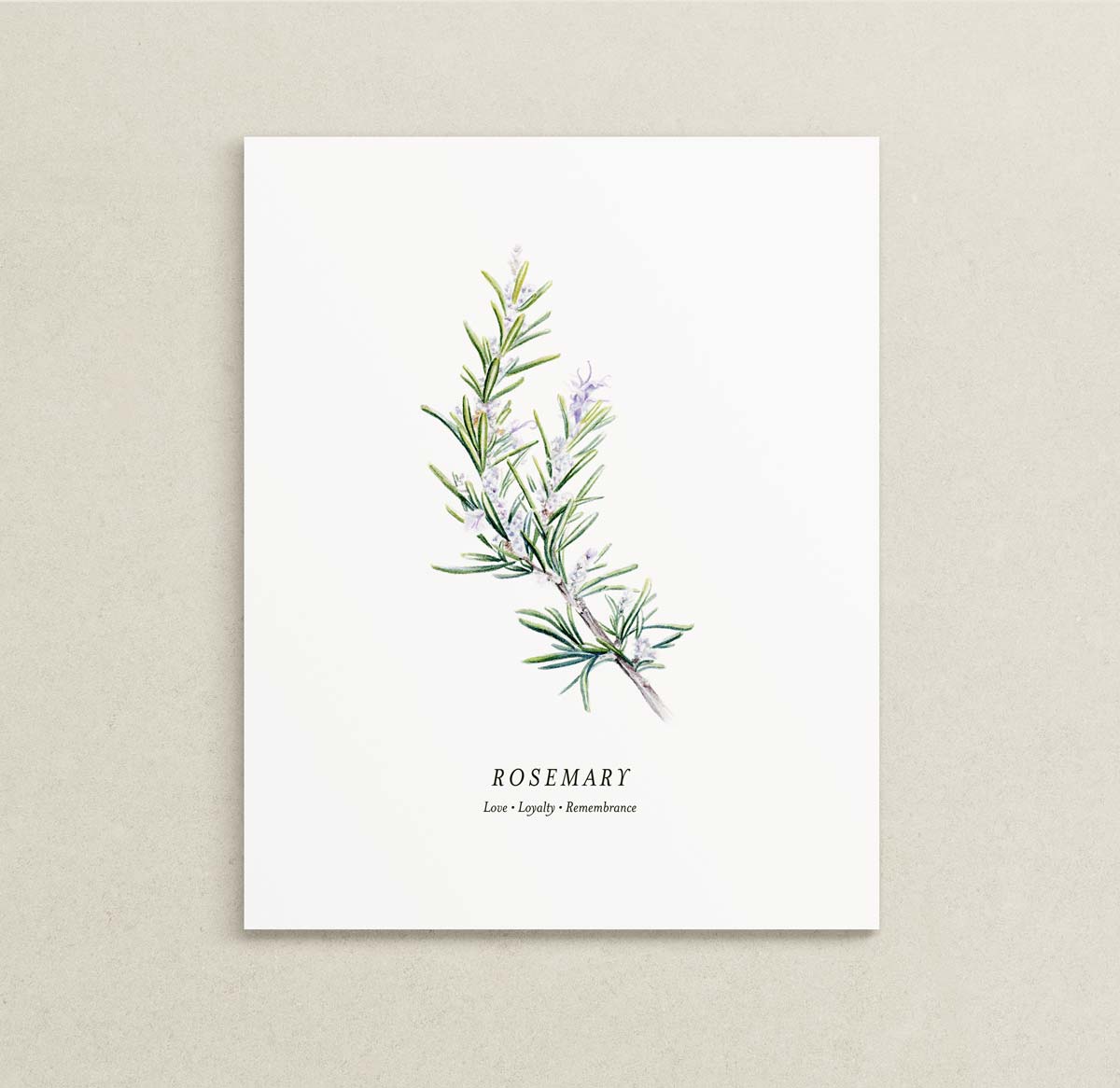 A vertical botanical art print featuring a watercolor illustration of a rosemary sprig with the text 'ROSEMARY' and 'Love, Loyalty, Remembrance' below it, displayed against a textured light beige wall.