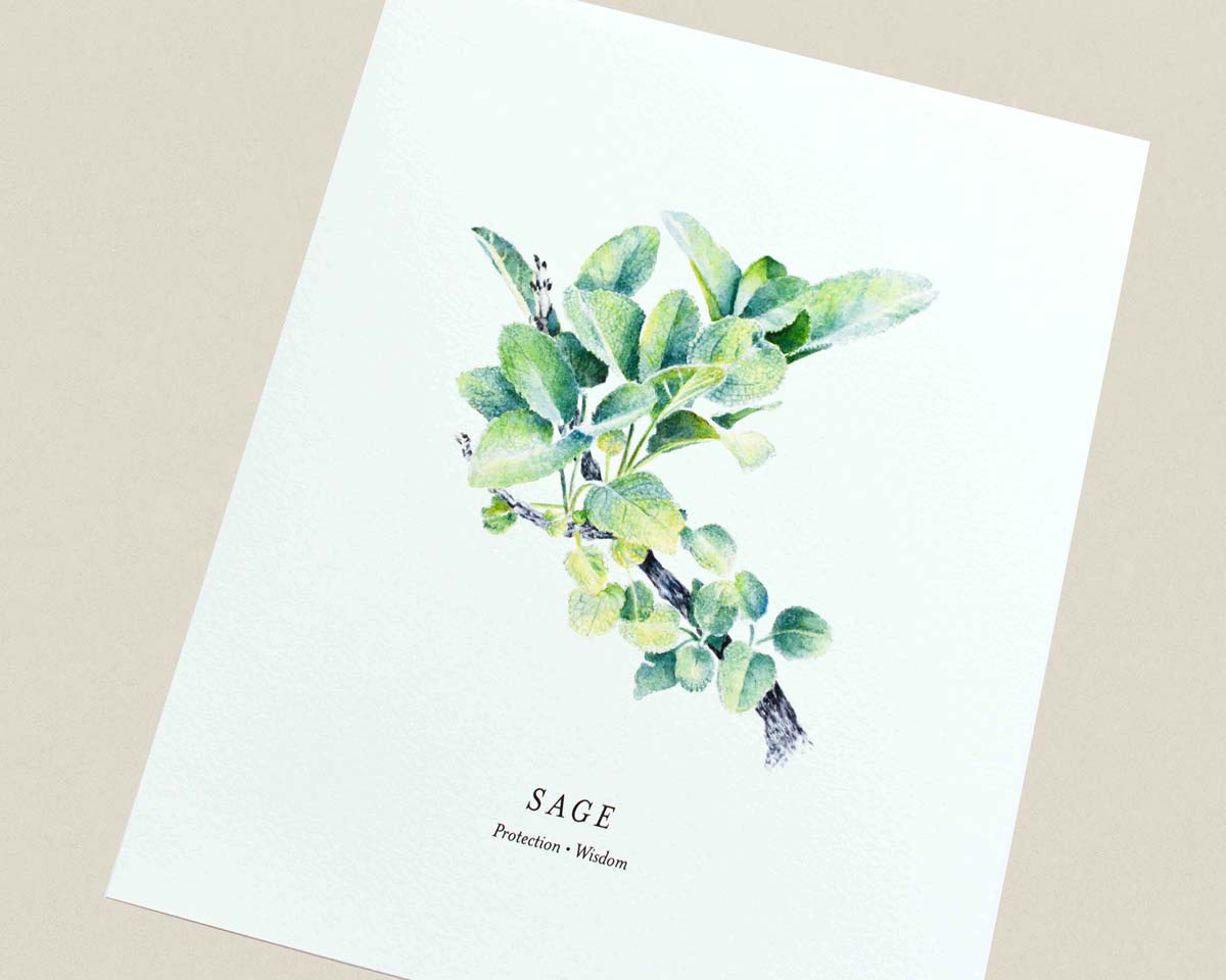 Art print of a watercolor illustration of a green sage branch. Text below reads 'SAGE' and 'Protection | Wisdom' photographed at an angle. 