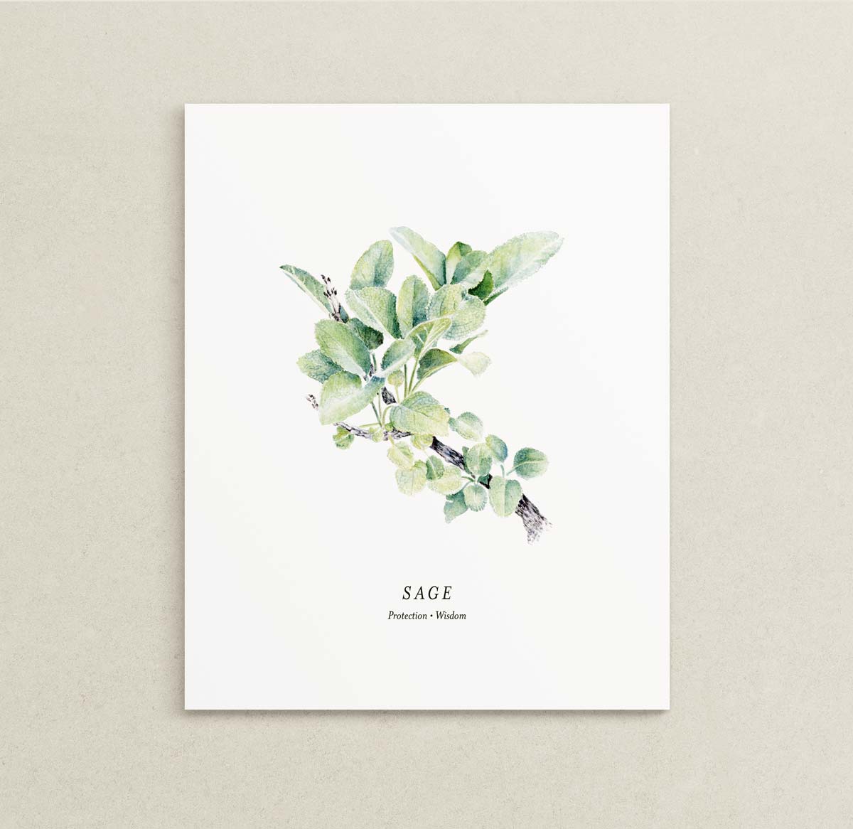Art print of a watercolor illustration of a green sage branch. Text below reads 'SAGE' and 'Protection | Wisdom'. 