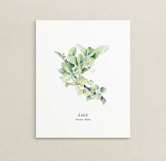 Art print of a watercolor illustration of a green sage branch. Text below reads 'SAGE' and 'Protection | Wisdom'. 