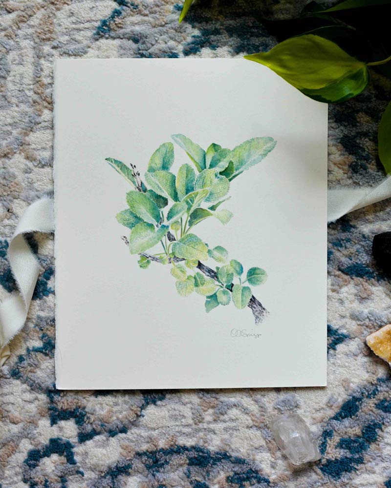 A vertical watercolor painting of green sage leaves on a branch, displayed flat on a textured blue and beige rug with decorative props.