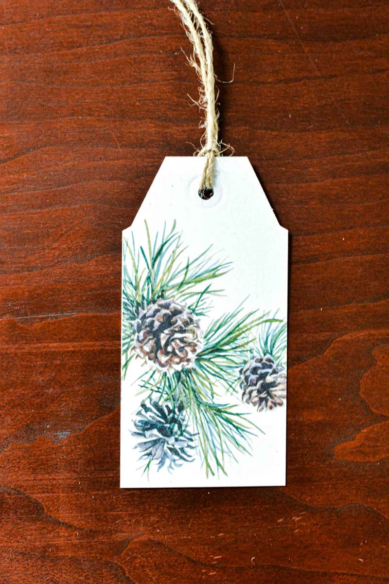 A white paper gift tag with a natural jute hanging string, printed with a watercolor design of pine needles and pinecones, displayed on a dark brown wooden surface.
