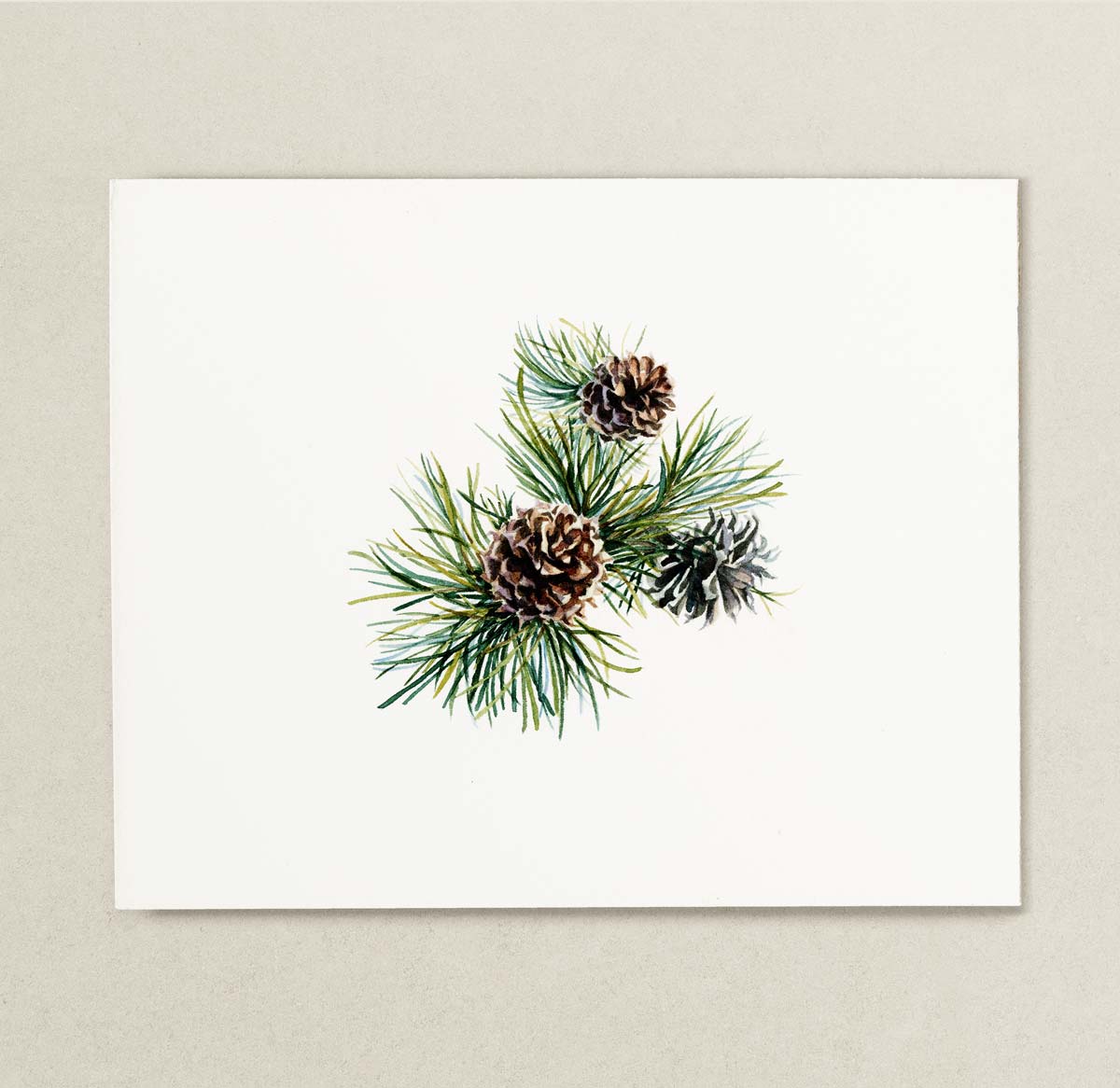 A watercolor painting featuring pine needles and three pinecones on a white rectangular card, displayed against a textured light beige background.