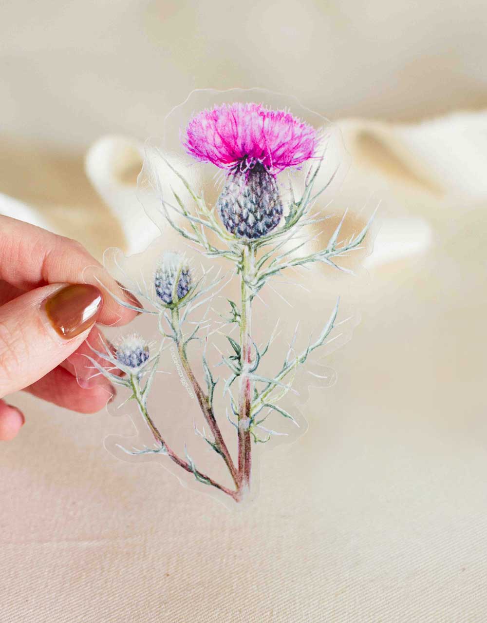 Hand holding a transparent sticker with a pink thistle blossom and green leaves against a beige background.