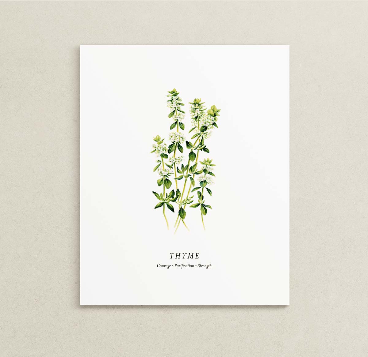 Art print of a watercolor illustration of a group of thyme sprigs. Text below reads 'THYME' and 'Courage | Purification | Strength'. 