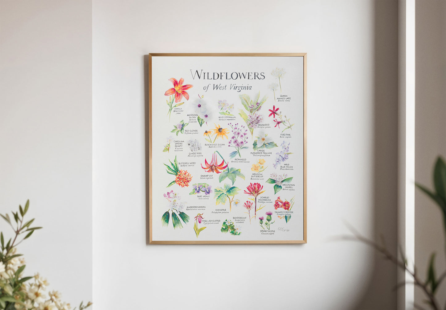Wildflowers of West Virginia Print