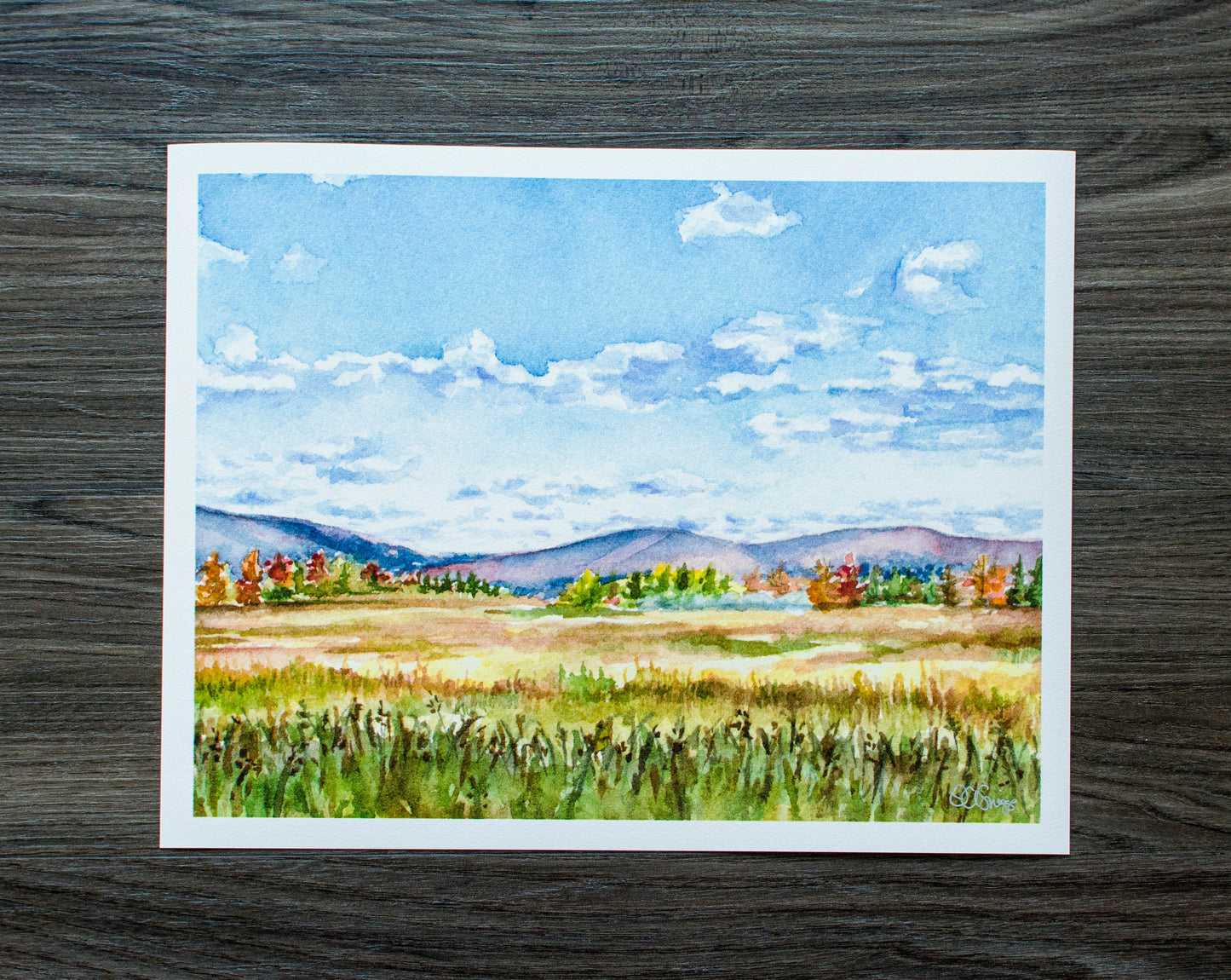 14" x 11" print of Canaan Valley Meadow