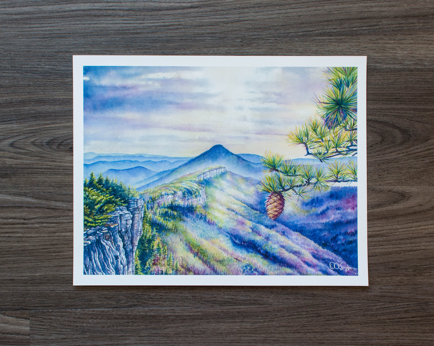 14" x 11" Print of North Fork Mountain, View from Chimney Top