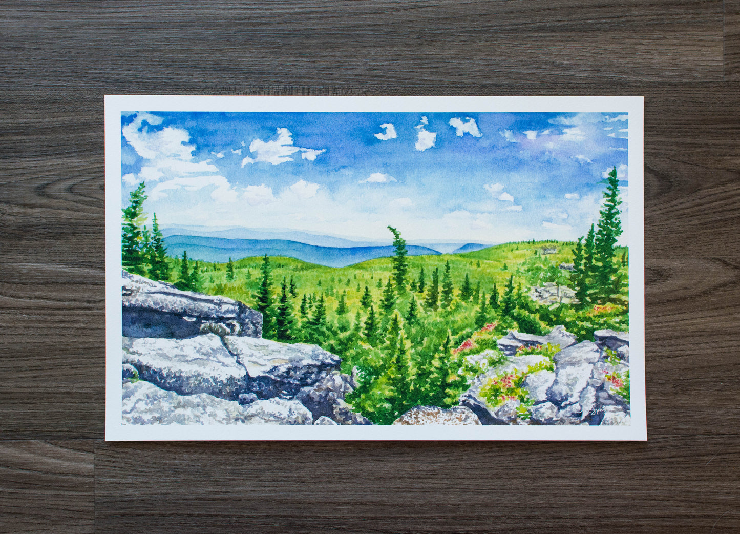 17" x 11" Print of Dolly Sods Summer Panorama