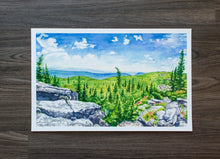 Load image into Gallery viewer, 17&quot; x 11&quot; Print of Dolly Sods Summer Panorama
