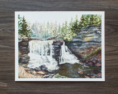 14 x 11 Print of Blackwater Falls in Autumn
