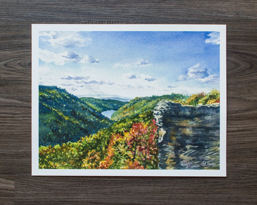 14 x 11 Print of Raven’s Rock, Coopers Rock State Forest