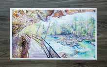 Load image into Gallery viewer, 27&quot; x 16&quot; Print of Audra State Park
