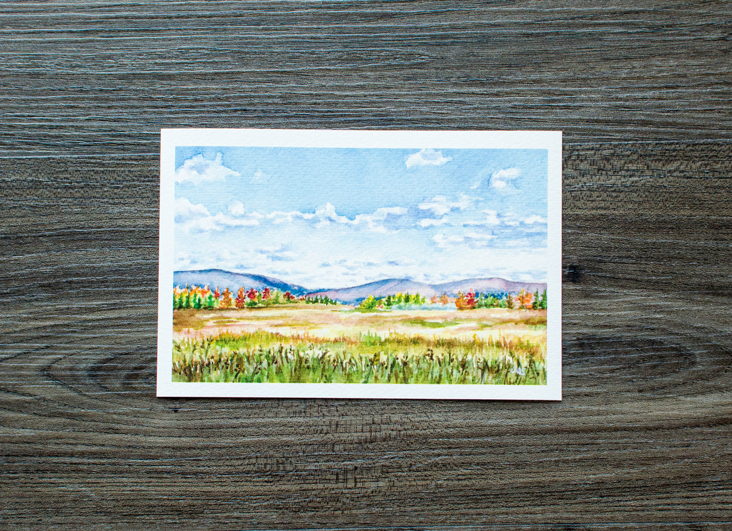 6" x 4" Print of Canaan Valley Meadow