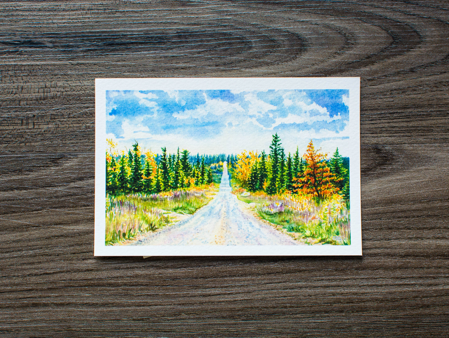 6 x 4 Print of Dolly Sods Roadway