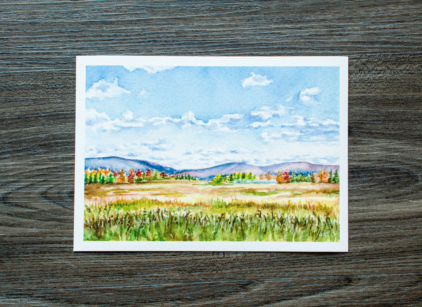 7" x 5" Print of Canaan Valley Meadow