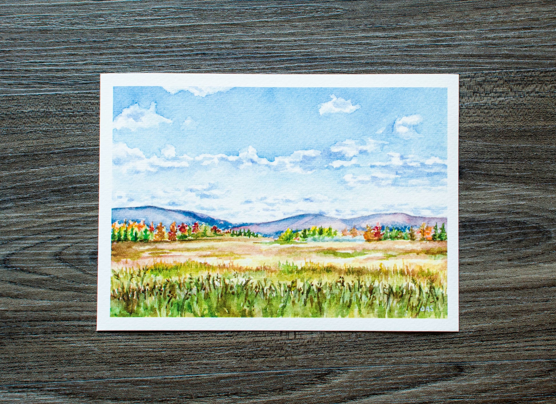 7" x 5" Print of Canaan Valley Meadow