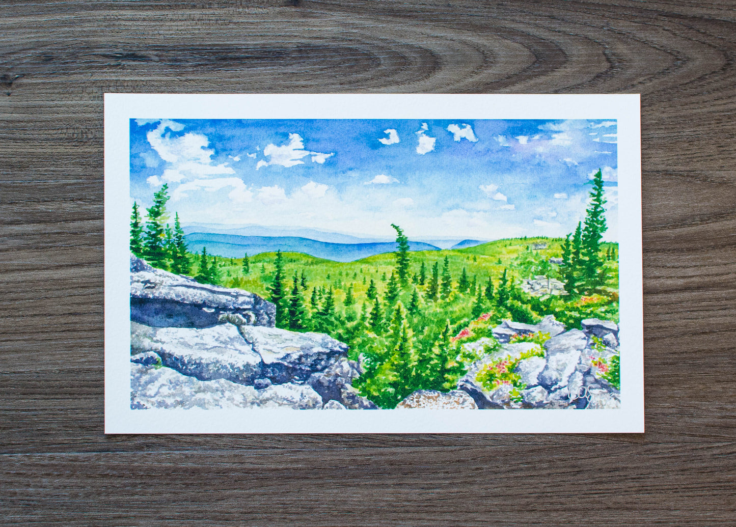 11" x 7" Print of Dolly Sods Summer Panorama