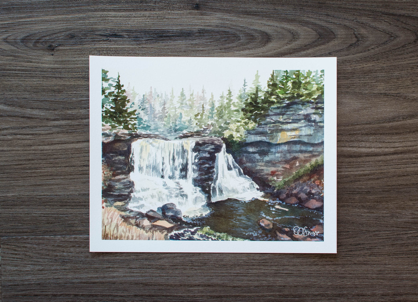 10 x 8 Print of Blackwater Falls in Autumn