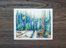 Load image into Gallery viewer, 10 x 8 Print of Dolly Sods Forest Shadow
