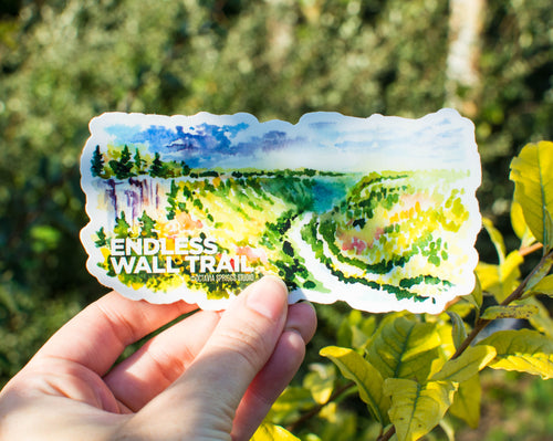 Endless Wall Trail Sticker being held in hand