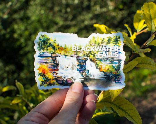 Blackwater Falls Sticker being held in hand