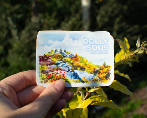Dolly Sods Sticker being held in hand