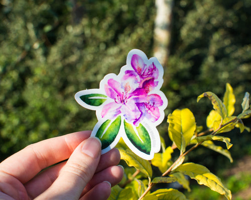 Pink Rhododendron sticker being held in hand