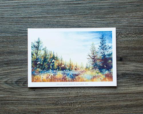 Dolly Sods Bog in Autumn Postcard