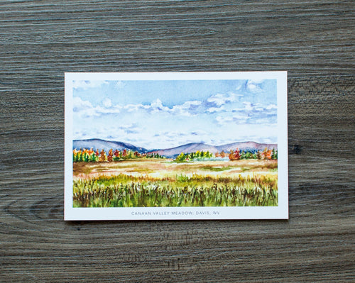 Canaan Valley Meadow Postcard