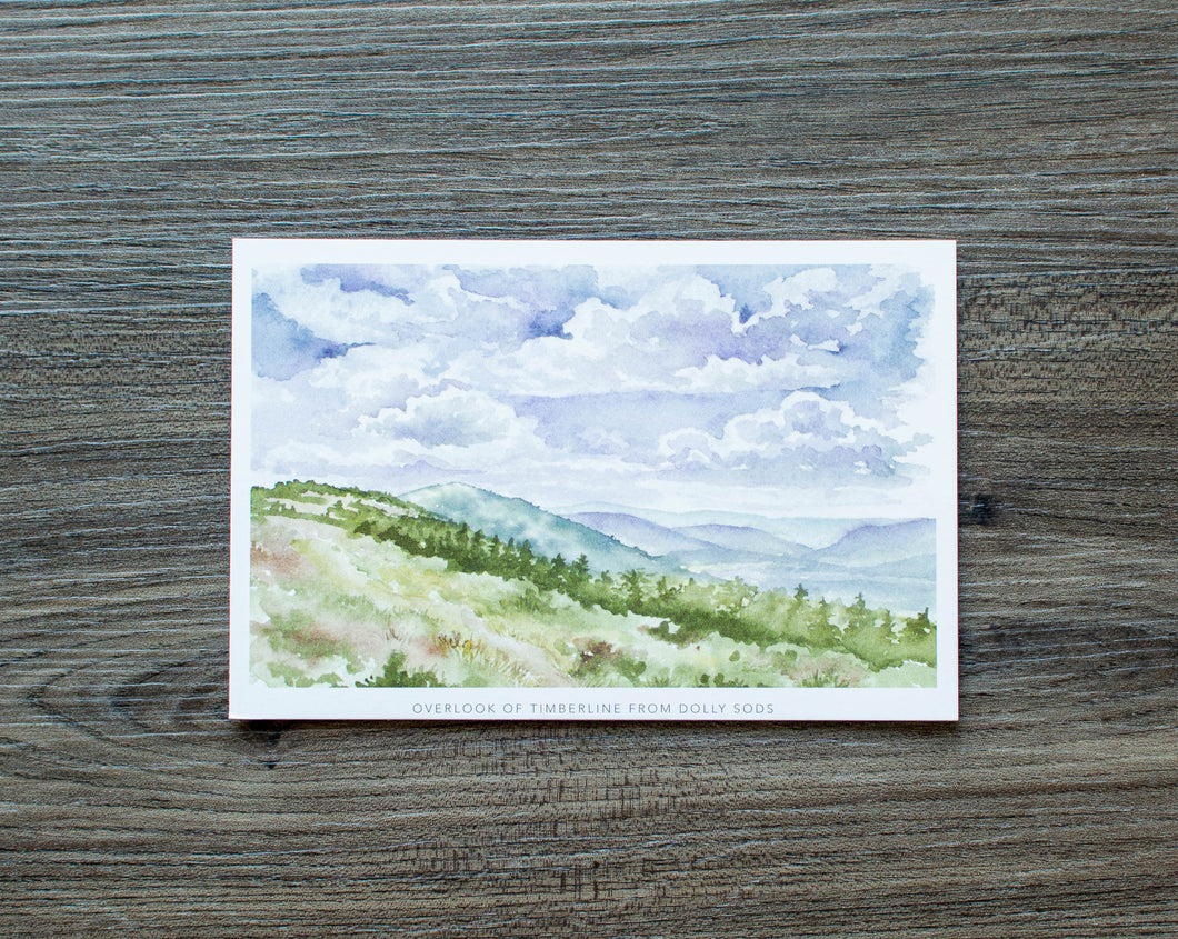 Overlook of Timberline From Dolly Sods Postcard