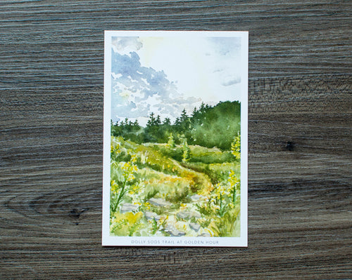 Dolly Sods Trail at Golden Hour Postcard
