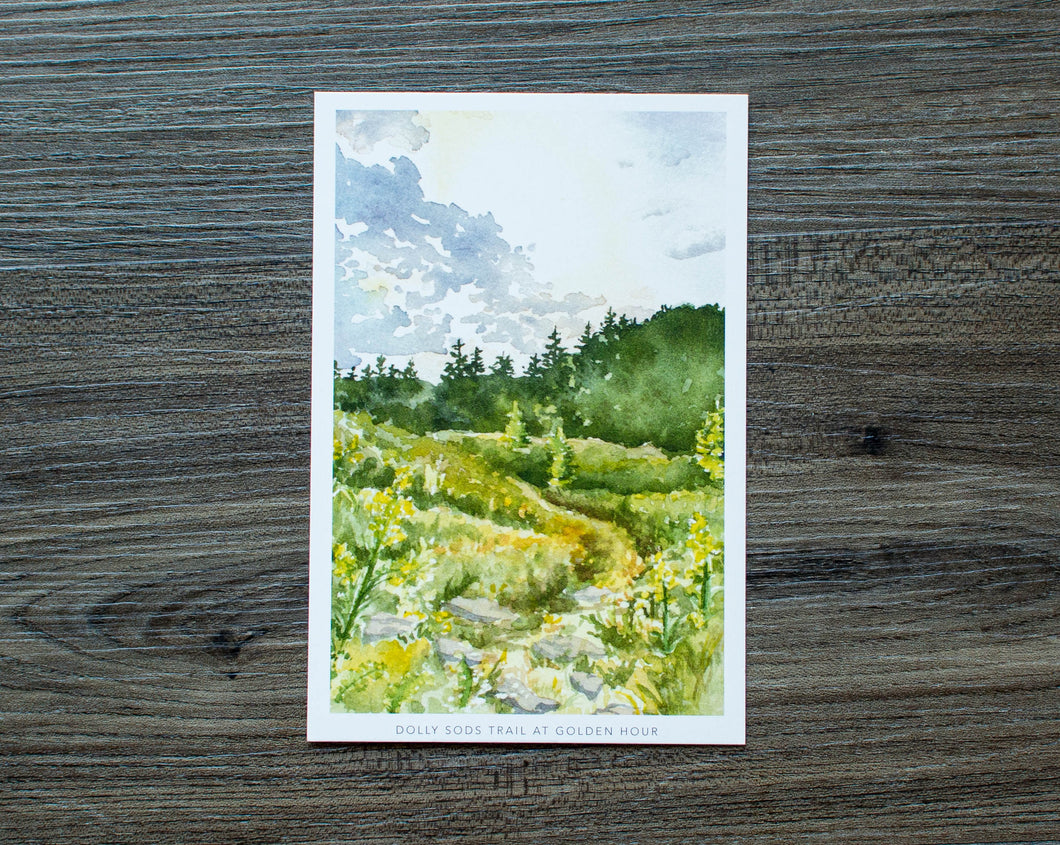Dolly Sods Trail at Golden Hour Postcard