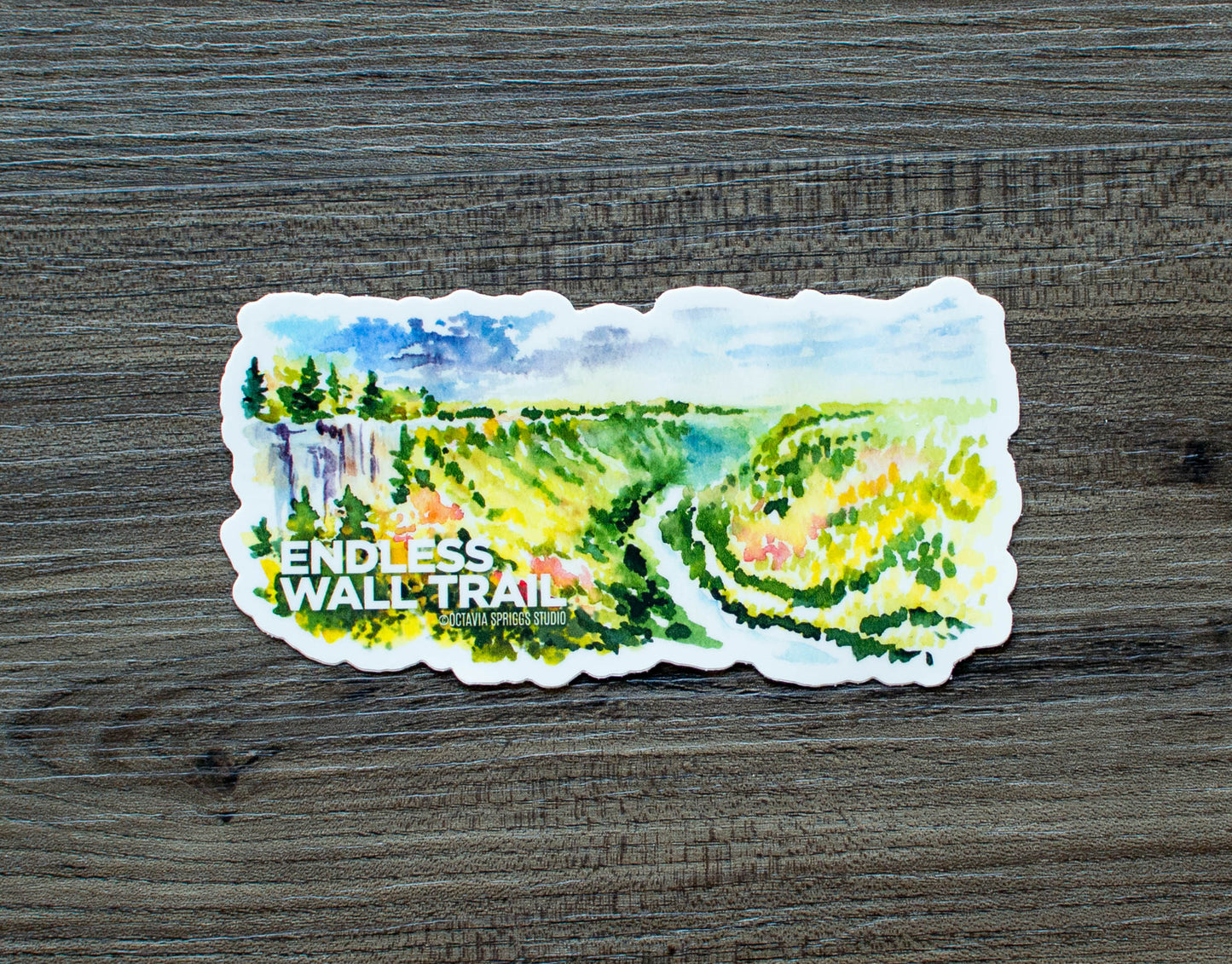 Endless Wall Trail Sticker